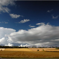 Strathmore Farmland